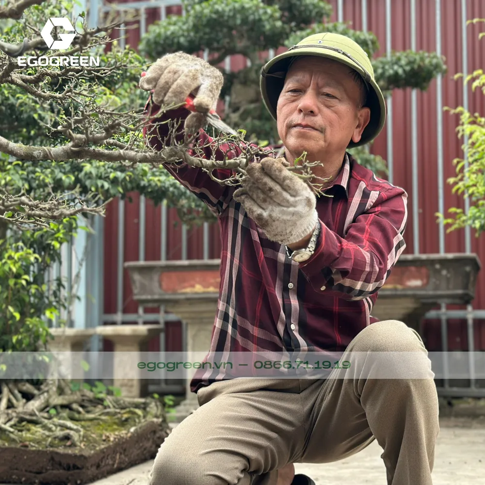 Nghệ nhân Đỗ Duy Quân - cố vấn trực tiếp của EGOGREEN